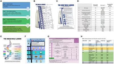 The future of cow’s milk allergy – milk ladders in IgE-mediated food allergy